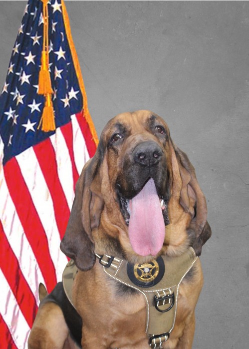 Click to view profile for K9 Rowdy 