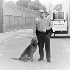K-9 Roscoe (PR 19-020) Photo for K-9 Roscoe (PR 19-020)