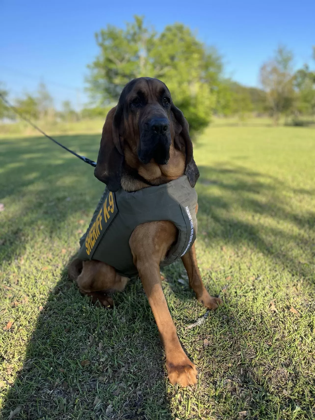 Photo for Crisp County Sheriff&rsquo;s Office K9 Rowdy has received donation of body armor PR 24-008